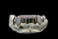 8 Gold Teeth: Stone Encrusted Piece Front Bar with K9's image 1