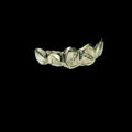 6 Silver Teeth: 6 Tops 4 Open-Bars & 2 Solid image 3