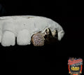 3 Gold Teeth: Stone Encrusted Tooth With 2 Solids image 1