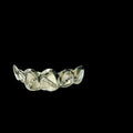 6 Silver Teeth: 6 Tops 4 Open-Bars & 2 Solid image 0