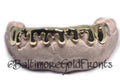 Gold Front Bar: 10k 8 Piece Drip Style Grillz  image 1