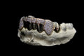 8 Gold Teeth: Stone Encrusted Piece Front Bar with K9's image 2