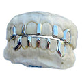 7 Teeth: Silver Gap Fillers And Open Face k9's image 0