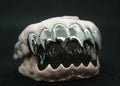 Black Piranha Teeth 12 Piece image 0