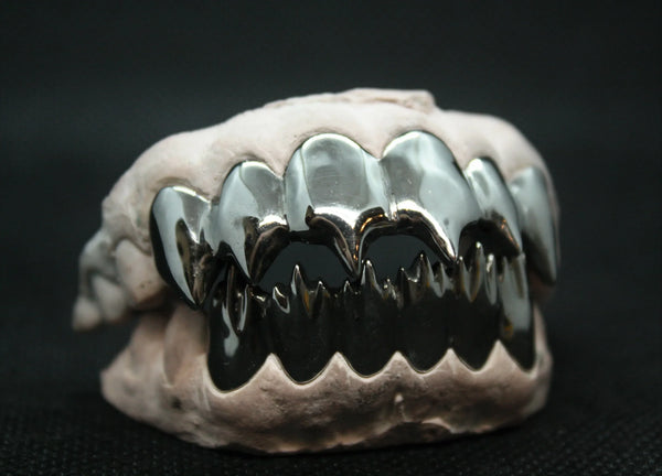Black Piranha Teeth 12 Piece image 0