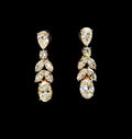LE2025 10K Yellow Gold