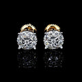 SE-229 14K Yellow Gold