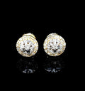 SE-269-B 14K Yellow Gold