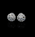 SE-270-B 14K Yellow Gold