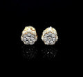 SE-285-A 14K Yellow Gold