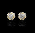 SE-298-C 14K Yellow Gold