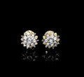 SE-328-A 14K Yellow Gold