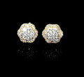 SE-53-D 14K Yellow Gold